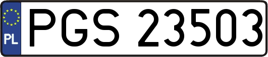 PGS23503