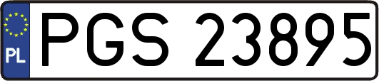 PGS23895