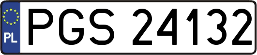 PGS24132