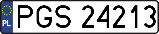 PGS24213
