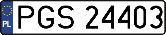 PGS24403