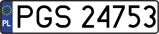 PGS24753