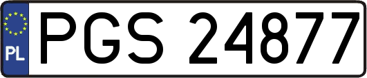 PGS24877