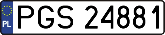 PGS24881