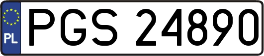PGS24890