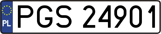 PGS24901