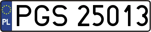 PGS25013