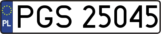 PGS25045