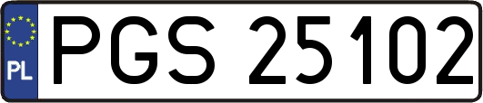 PGS25102
