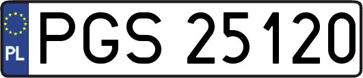 PGS25120