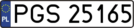 PGS25165