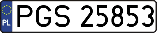 PGS25853