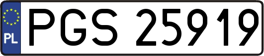 PGS25919