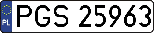PGS25963