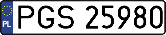 PGS25980