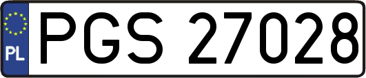 PGS27028
