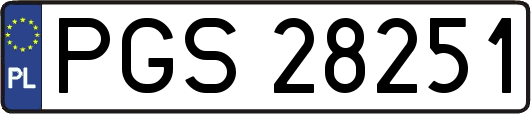 PGS28251