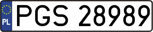 PGS28989