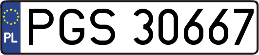 PGS30667