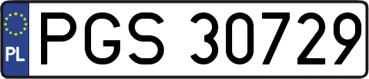 PGS30729