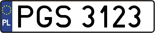 PGS3123