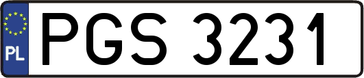PGS3231