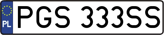 PGS333SS