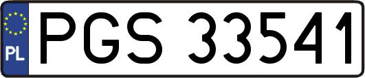 PGS33541