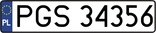 PGS34356