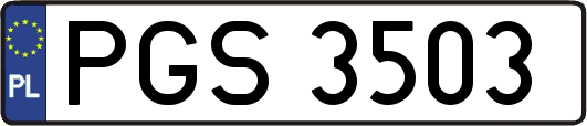 PGS3503