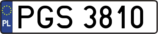 PGS3810