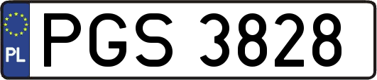 PGS3828