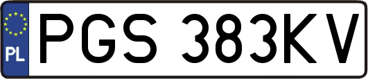PGS383KV
