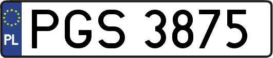 PGS3875
