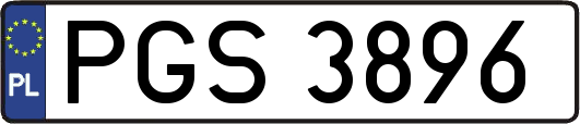PGS3896