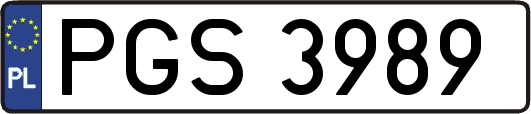 PGS3989