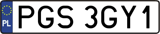 PGS3GY1