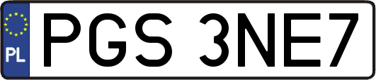 PGS3NE7