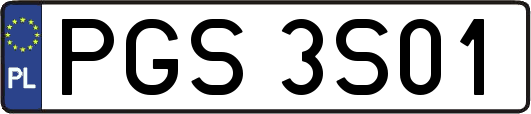 PGS3S01