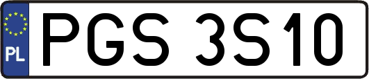 PGS3S10