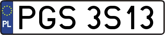 PGS3S13