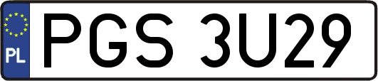 PGS3U29