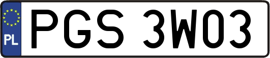PGS3W03