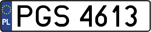 PGS4613