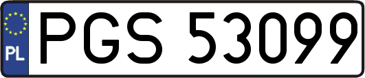 PGS53099