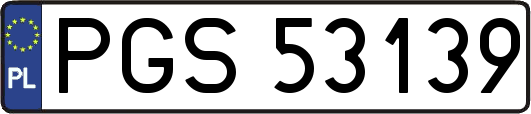 PGS53139