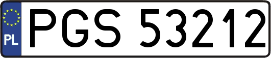 PGS53212