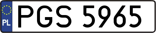 PGS5965