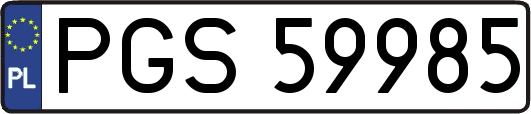 PGS59985