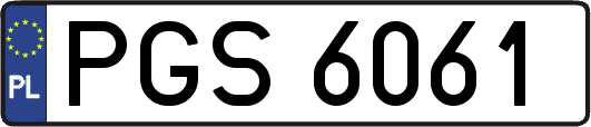 PGS6061